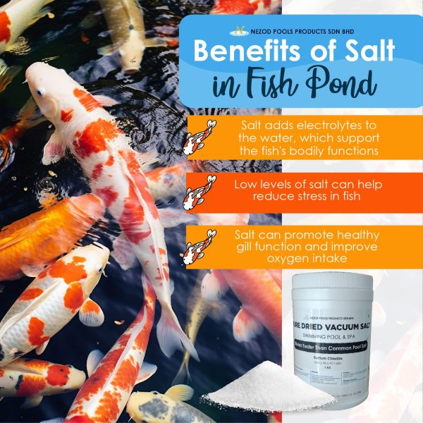 FOOD GRADE PURE DRIED VACUUM SALT / PDV SALT - Image 2