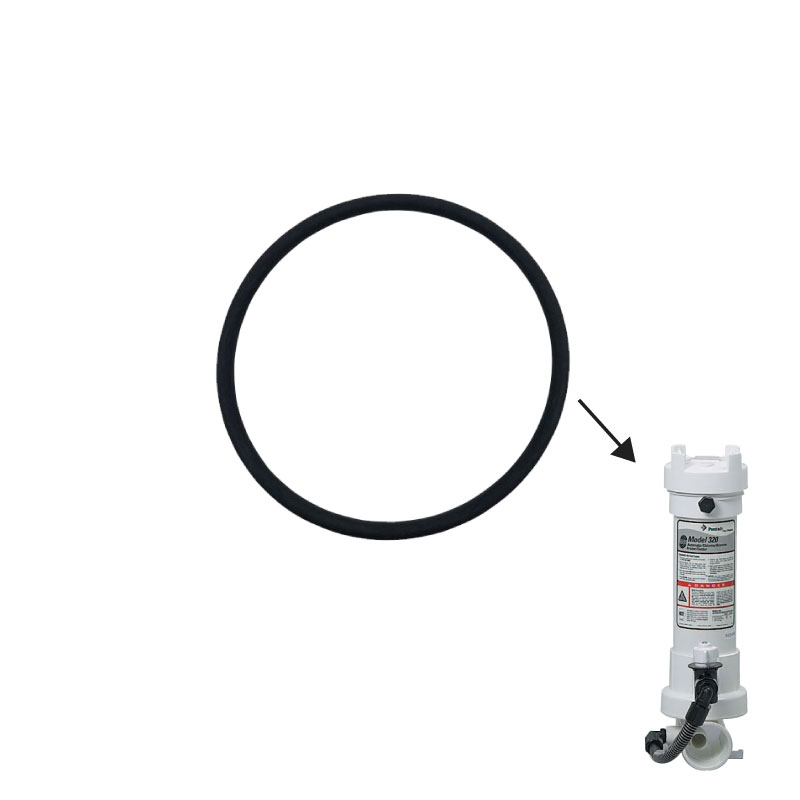 oring-2