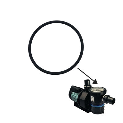 oring-3