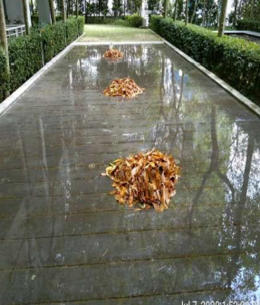 Screenshot 2025-08-22 000427